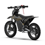 RFN Warrior SX-E500 removable 36V lithium battery